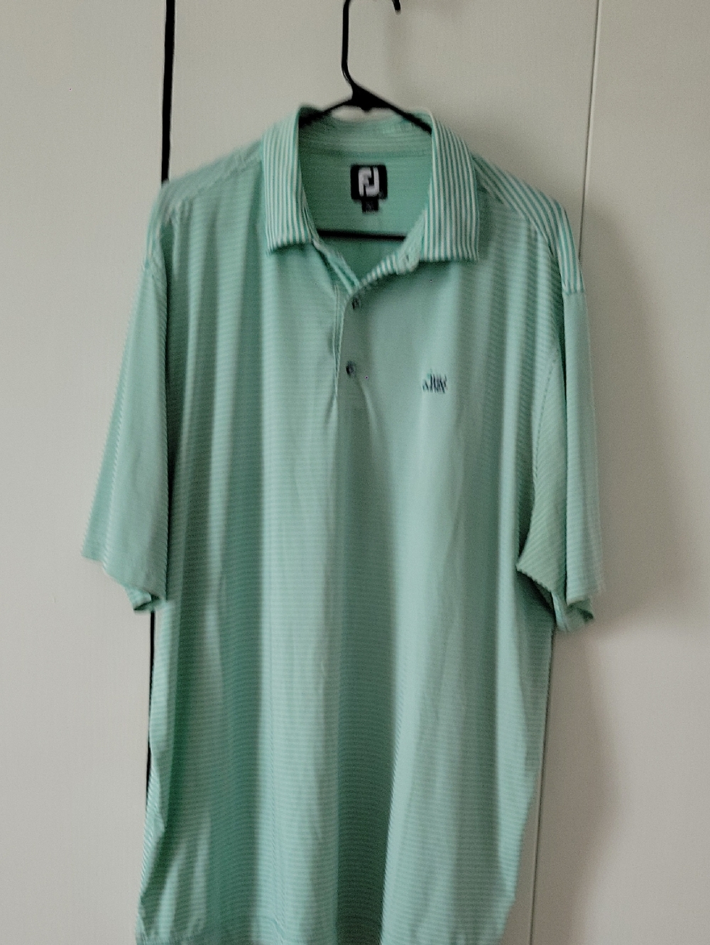 Men's Mint Green Polo Shirt